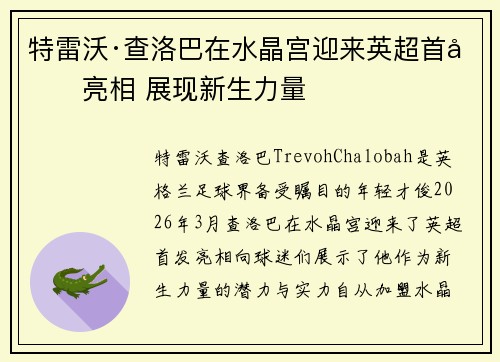 特雷沃·查洛巴在水晶宫迎来英超首发亮相 展现新生力量